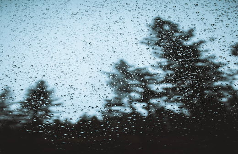 Waarom ruikt regen zo bijzonder na een droge periode?