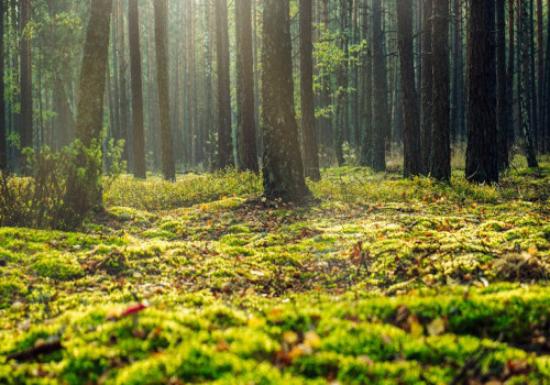 5 manieren om je weekend nét wat relaxter te maken!