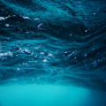 Wat is het verschil tussen mineraal- en bronwater?