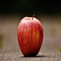 Wat betekent de uitdrukking ‘de appel valt niet ver van de boom’?