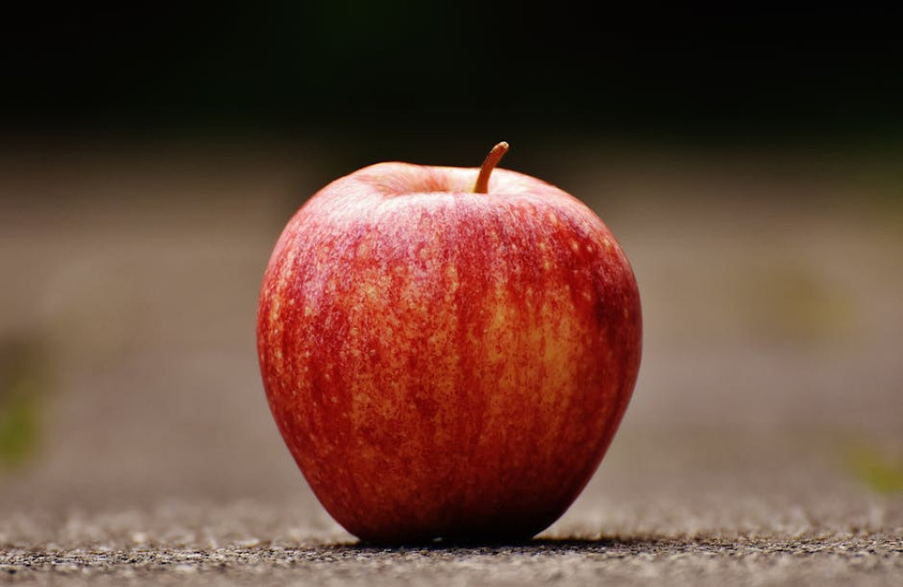 Wat betekent de uitdrukking ‘de appel valt niet ver van de boom’?