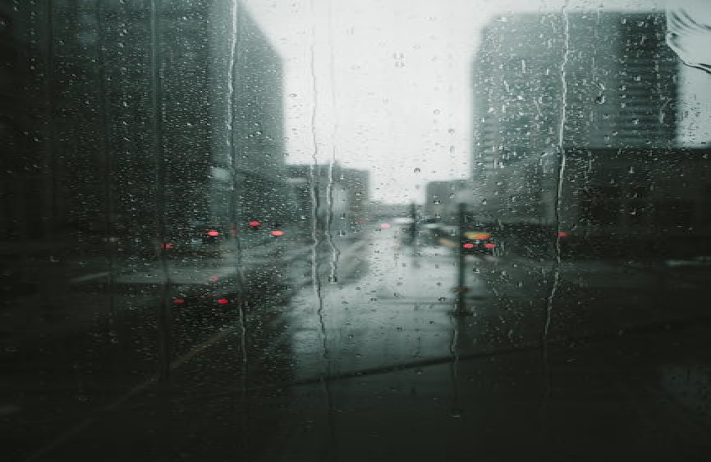 Waarom ruikt het na regen anders? De wetenschap achter de geur van regen uitgelegd