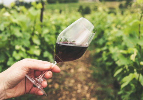 Wat maakt Italiaanse rode wijnen zo speciaal?