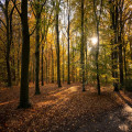 Op reis door de mooiste natuurgebieden van Nederland: 9 tips