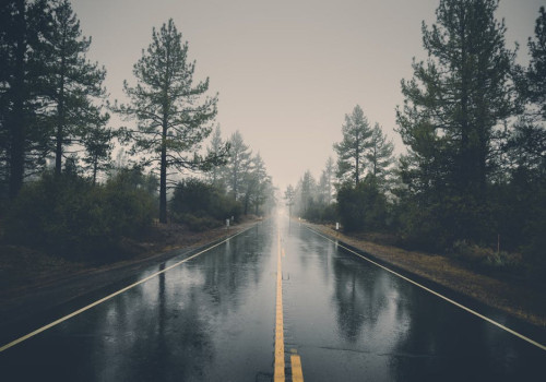 Waarom ruikt regen zo lekker en wat zit erachter?