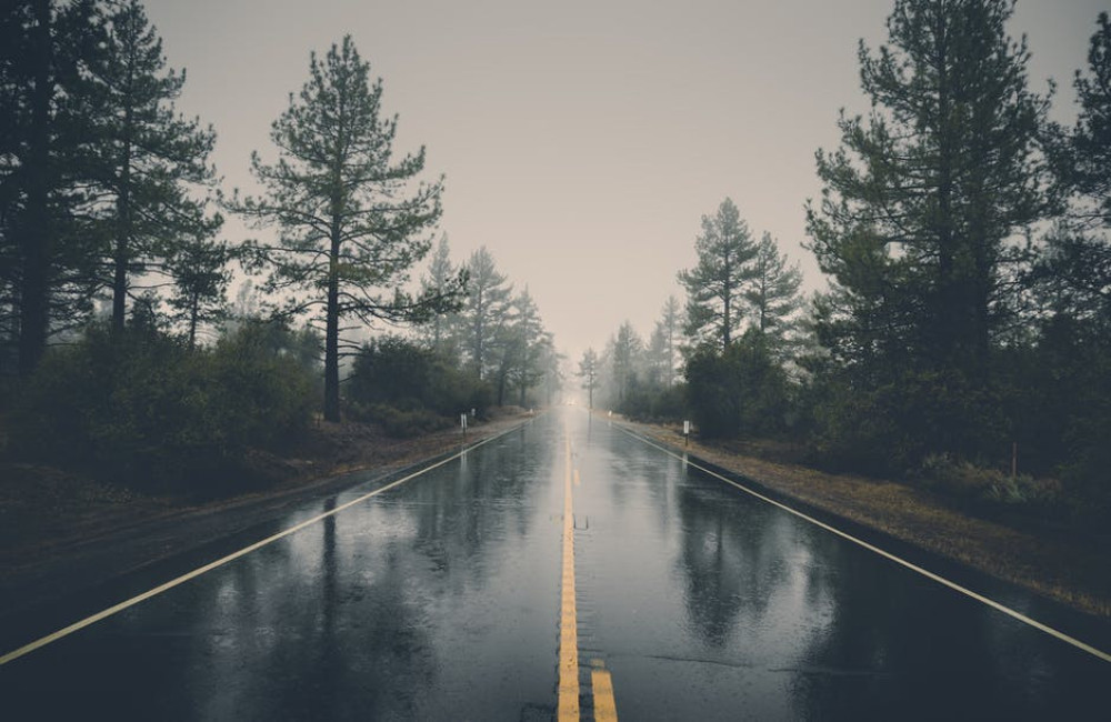 Waarom ruikt regen zo lekker en wat zit erachter?