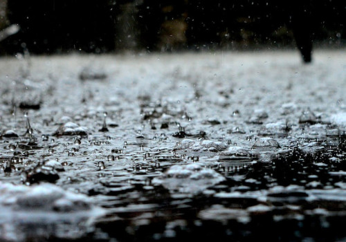 Waarom ruikt regen zo lekker en wat is petrichor?