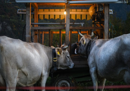 Waarom ruikt een oude boerderij vaak muf en wat kun je ertegen doen?