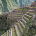 7 bijzondere weetjes over de Inca's