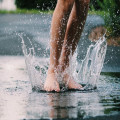 Waarom ruikt regen zo lekker na een warme dag?